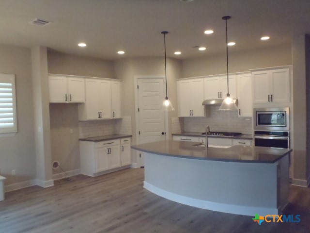791 Hazy Hills Loop Dripping Springs, TX 78620 - Photo 13 of 44 a large kitchen with granite countertop a large kitchen island a sink stainless steel appliances and cabinets