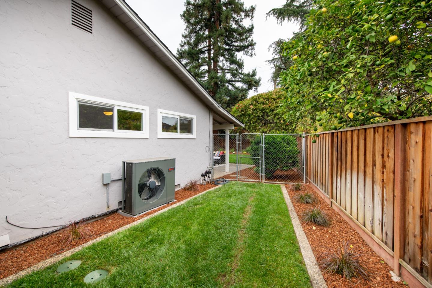 981 Thatcher Drive Los Altos, CA 94024 - Photo 29 of 30 a view of a backyard with potted plants and a large tree