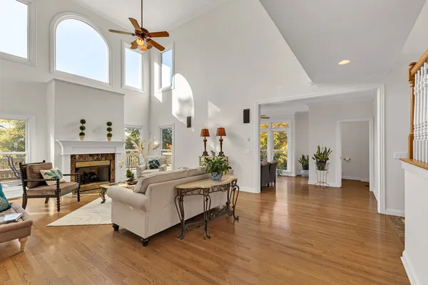 a living room with furniture flowerpot and a potted plant