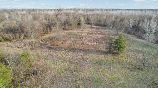 a view of a dry yard with trees