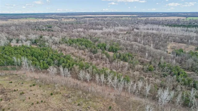 a view of a dry yard