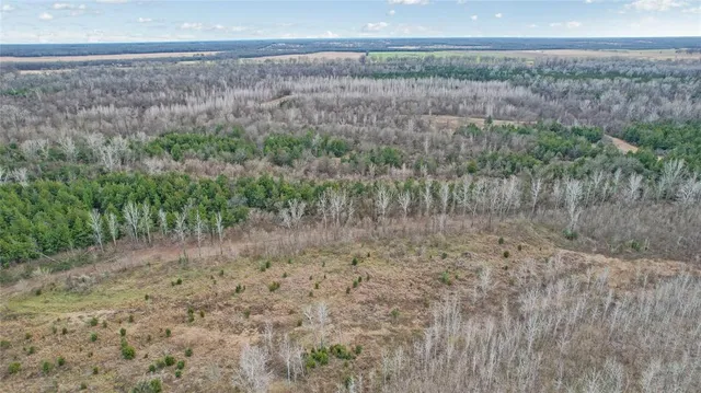 a view of a dry yard with trees