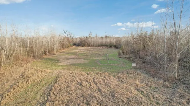 a view of a yard with large trees