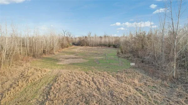 a view of a yard with large trees