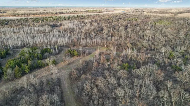 a view of a yard next to a yard