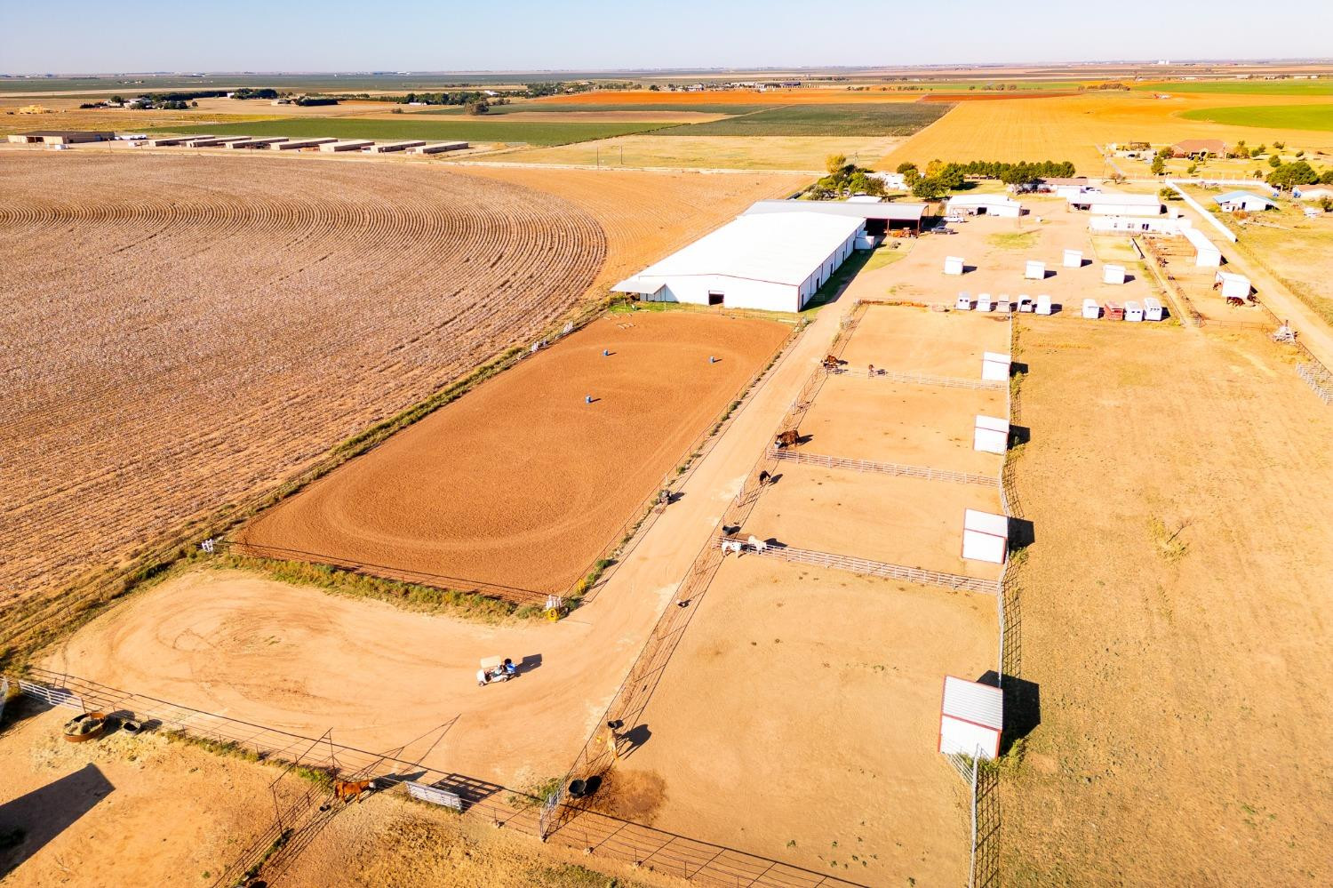 15503 County Road 1300 Ropesville, TX 79358 - Photo 6 of 13 Photo 6
