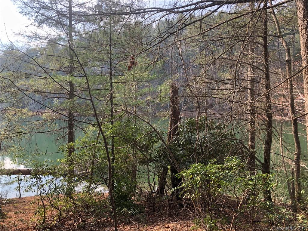2236 Old Nebo Bridge Road, Unit 10 Nebo, NC 28761 - Photo 8 of 12 Gallery Image 8