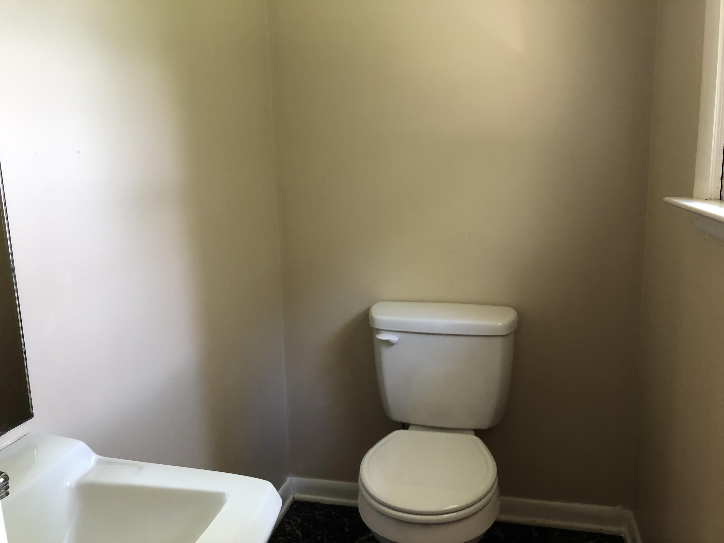 1325 Iron Ridge Road Rocky Mount, VA 24151 - Photo 15 of 17 a white toilet sitting next to a white wall