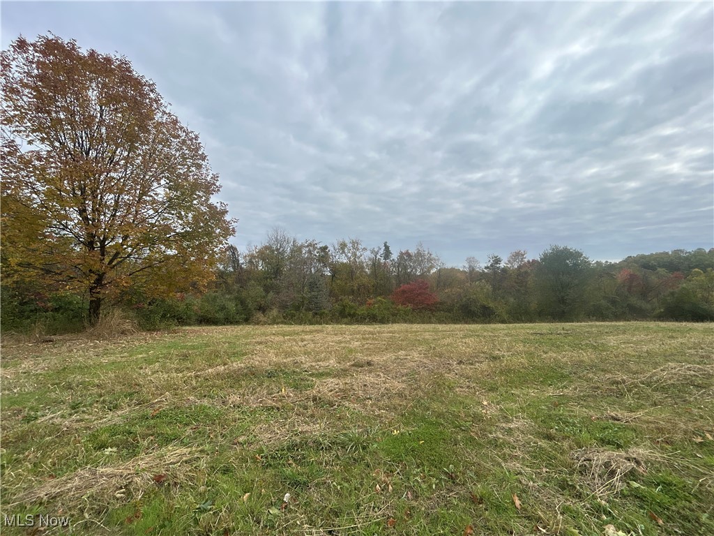 0 Pert Hill Road Hopewell, OH 43746 - Photo 10 of 14