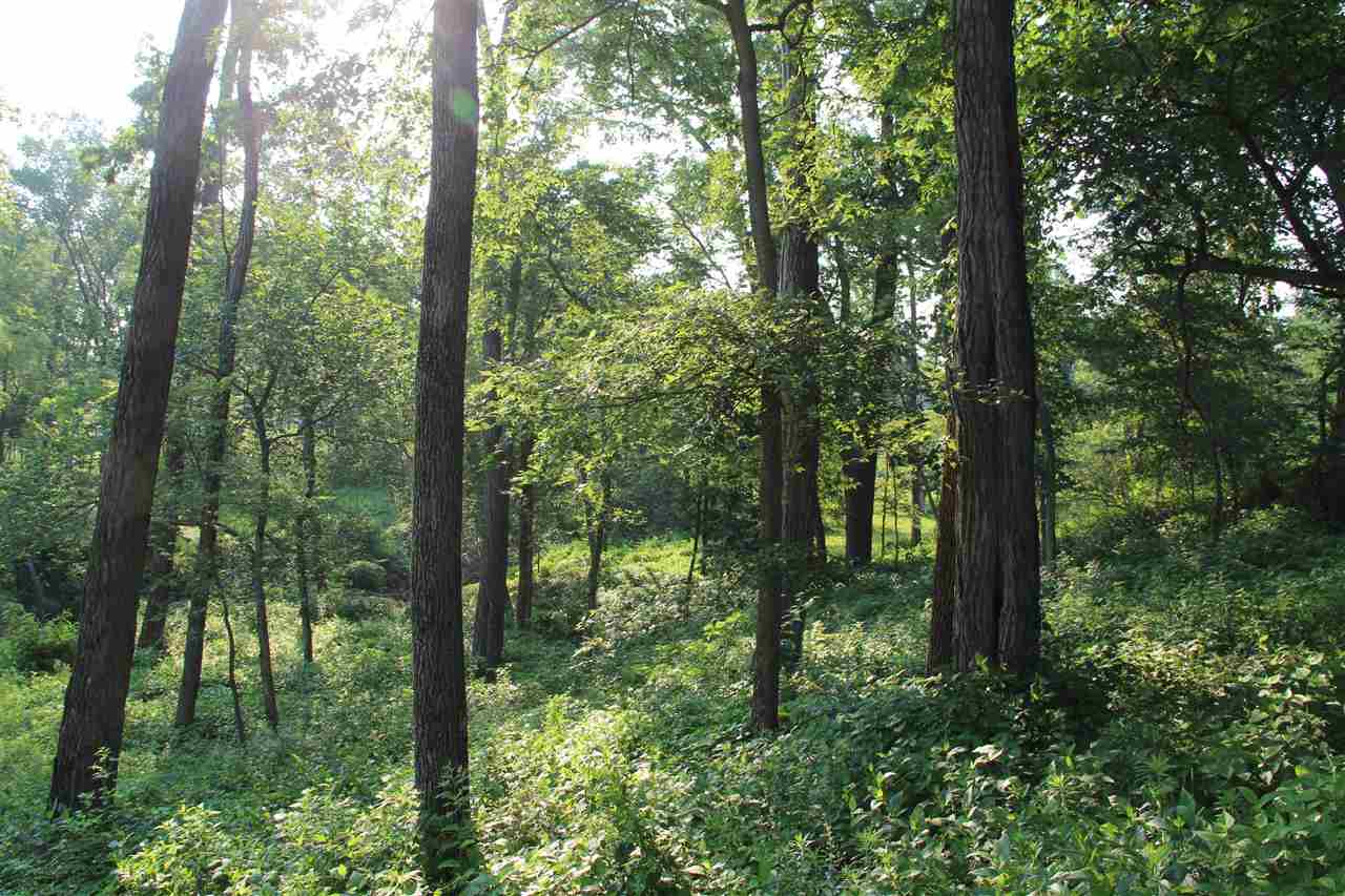 52 Solon Road Solon, IA 52333 - Photo 12 of 31 Gallery Image 12