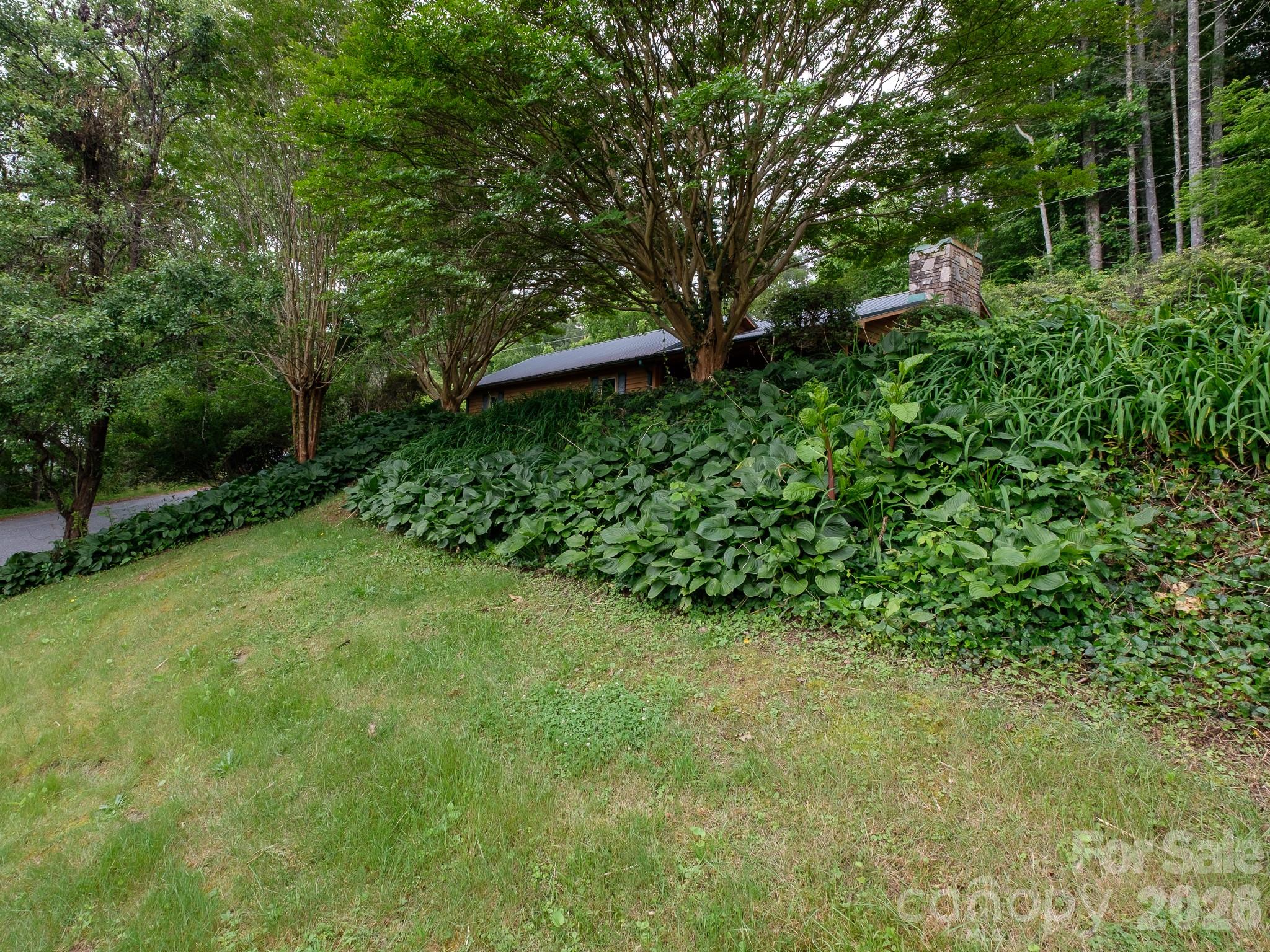 332 Island Cove Road Penrose, NC 28766 - Photo 7 of 28