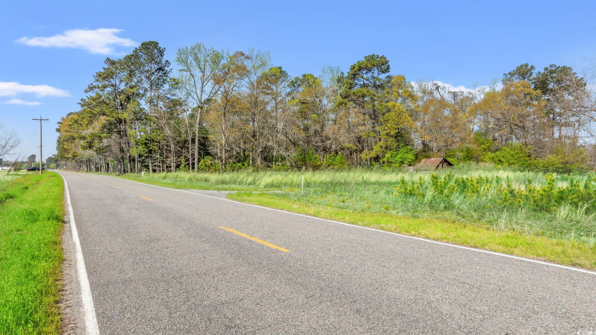 4083 Valley Forge Road Aynor, SC 29511 - Photo 16 of 16 View of road