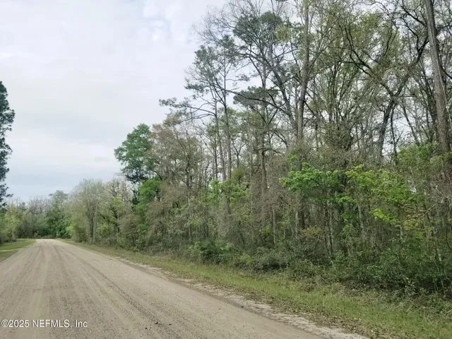 a view of a dry yard with trees