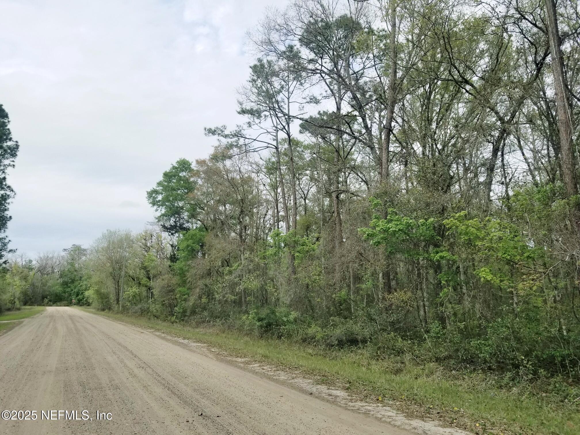 2095 Grove Street Bunnell, FL 32110 - Photo 1 of 7 a view of a dry yard with trees