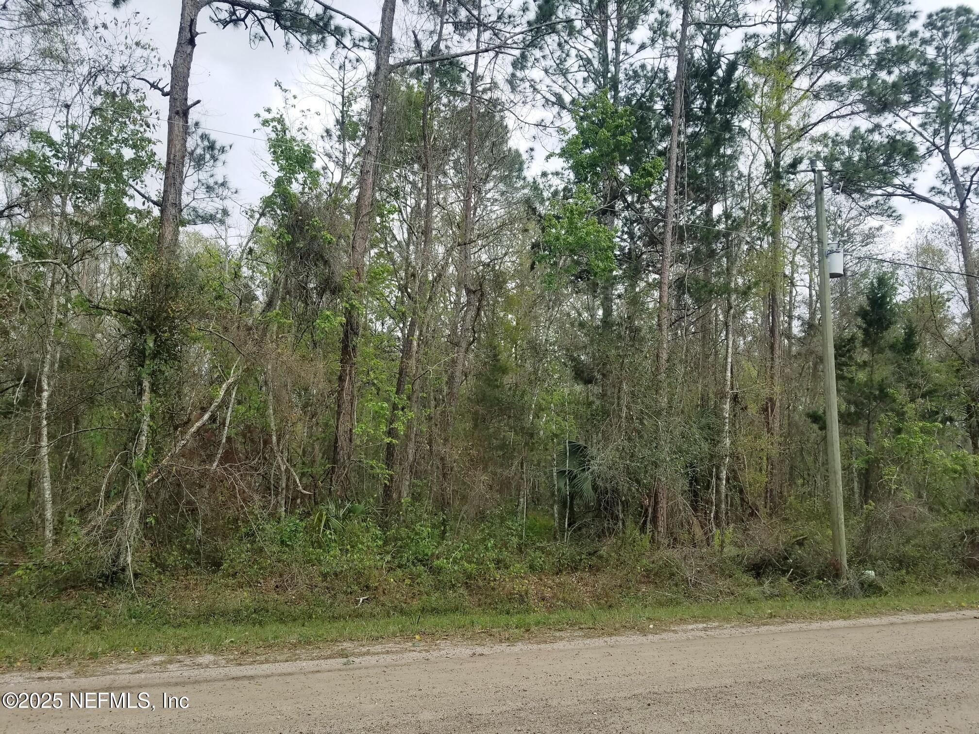 2095 Grove Street Bunnell, FL 32110 - Photo 2 of 7 a view of a forest