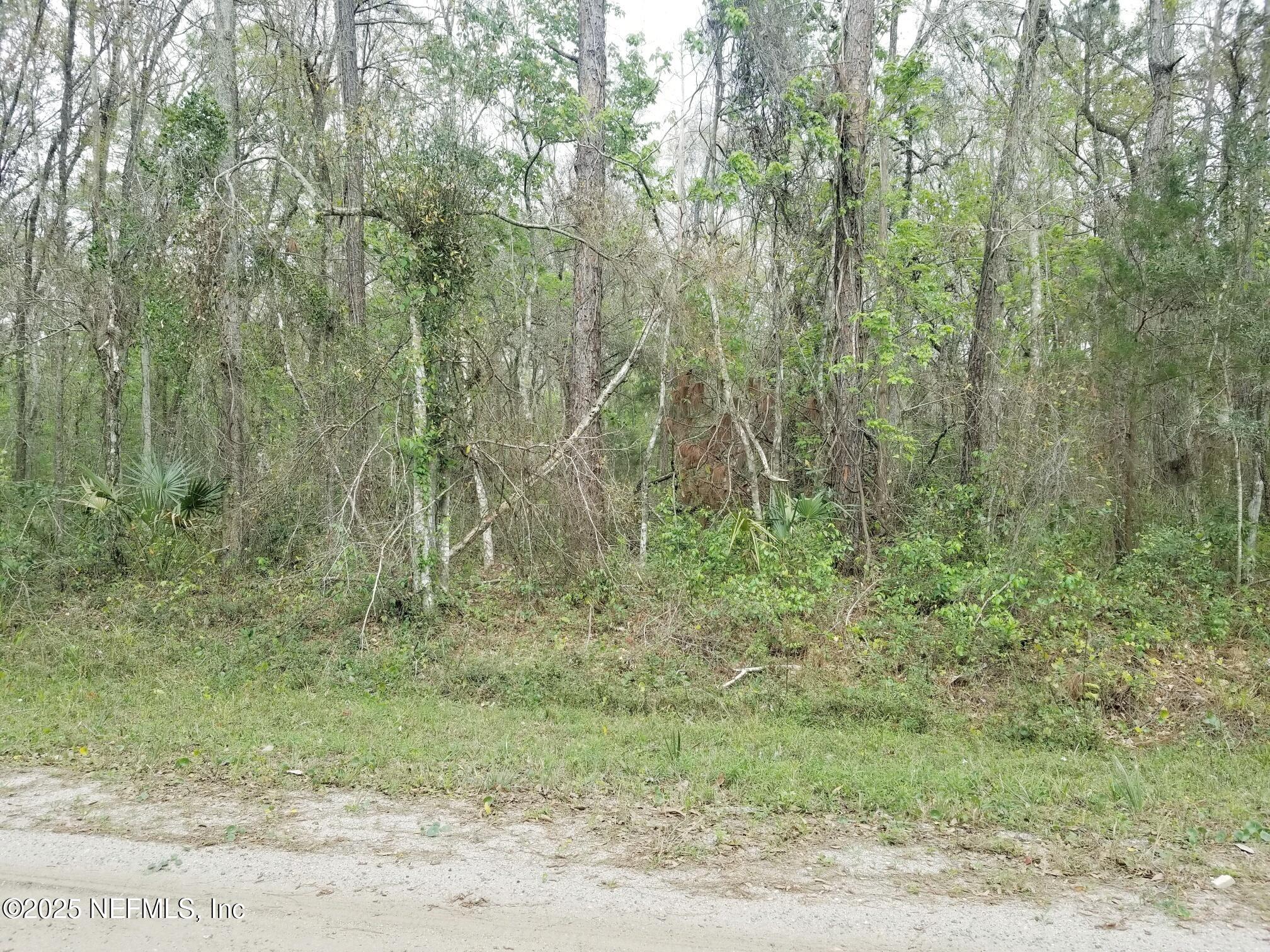 2095 Grove Street Bunnell, FL 32110 - Photo 3 of 7 a view of a forest with trees in the background