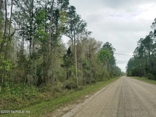 a view of a rural road with plants and trees