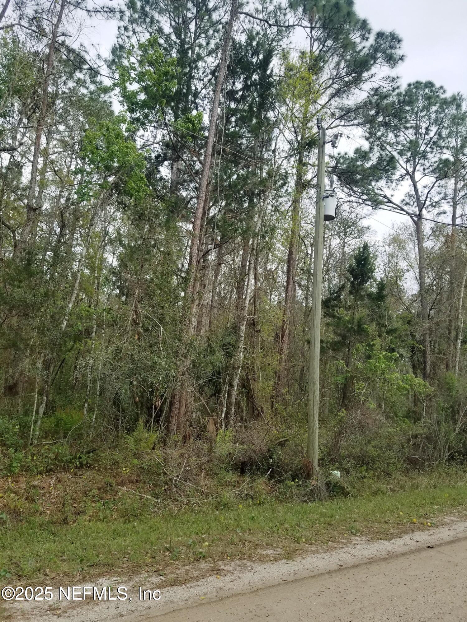 2095 Grove Street Bunnell, FL 32110 - Photo 5 of 7 a view of a yard