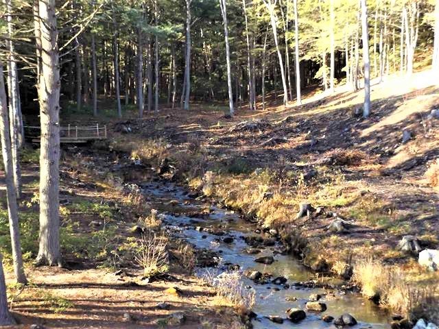 52 Dutton Lane Temple, NH 03084 - Photo 36 of 39
