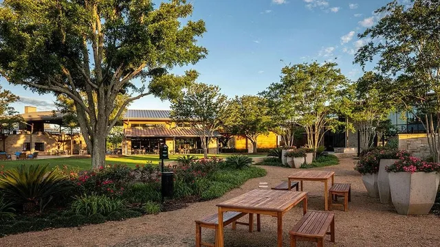 a view of a park with bench and trees