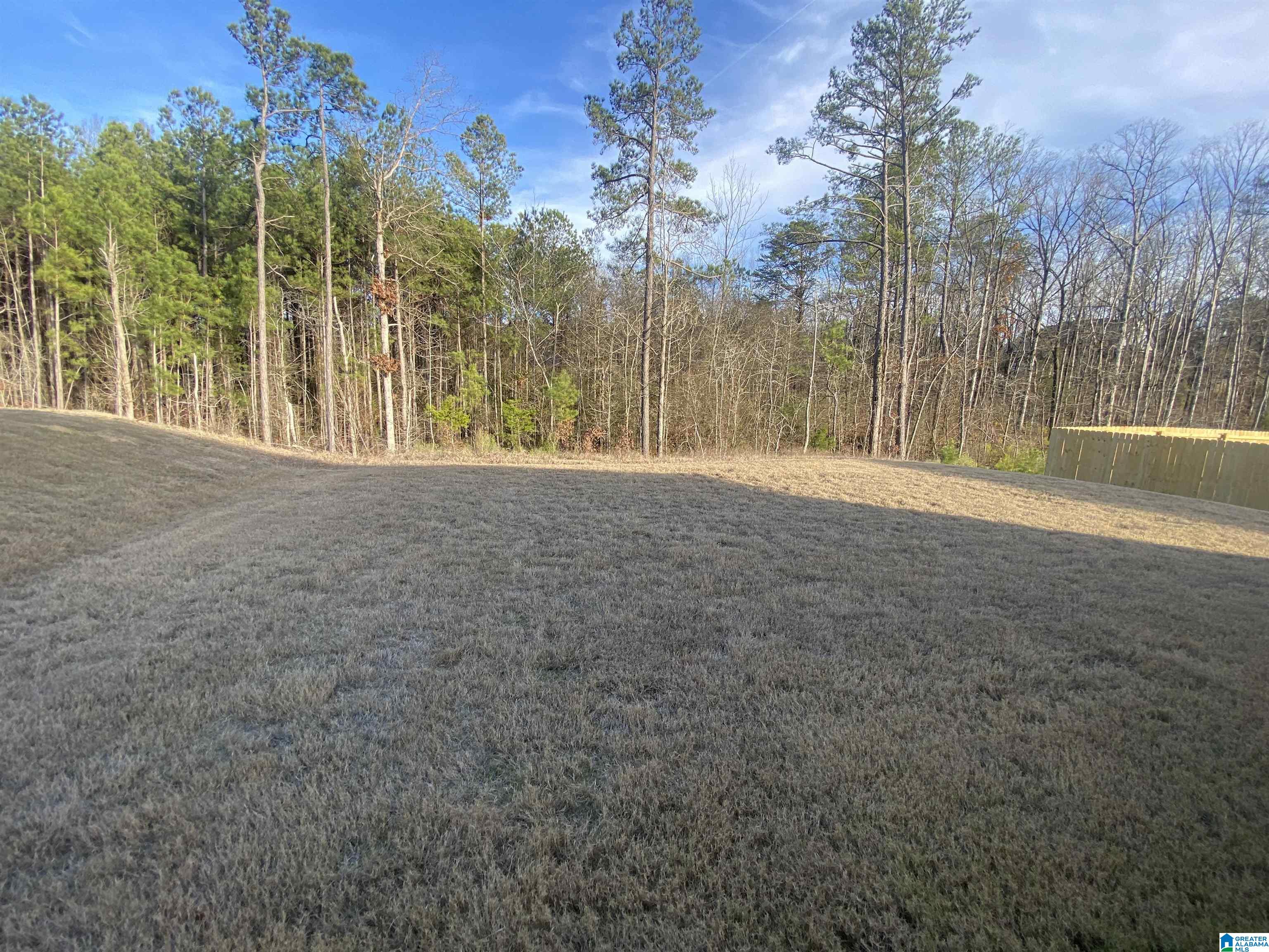 2115 Turquoise Lane Calera, AL 35040 - Photo 22 of 24
