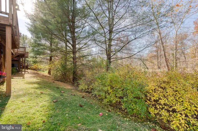 a backyard of a building with large trees