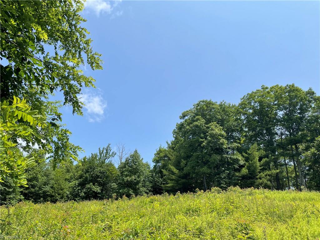 Tbd Fairview Church Road Lansing, NC 28643 - Photo 5 of 10