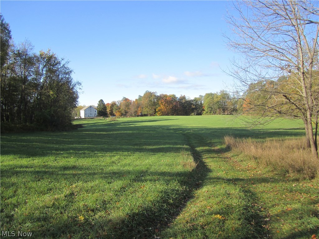 759 Ravenna Road Streetsboro, OH 44241 - Photo 8 of 9 Tillable acreage