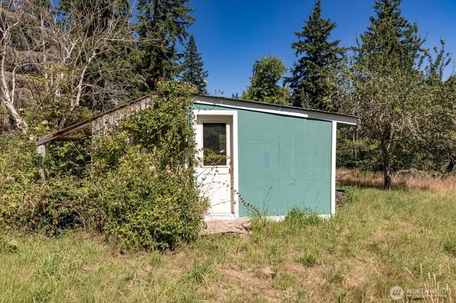 a backyard of a house with plants and tree