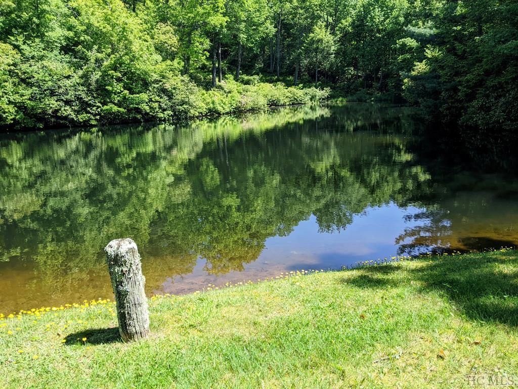 125 Rambouillet Road Cashiers, NC 28717 - Photo 38 of 49 Gallery Image 38
