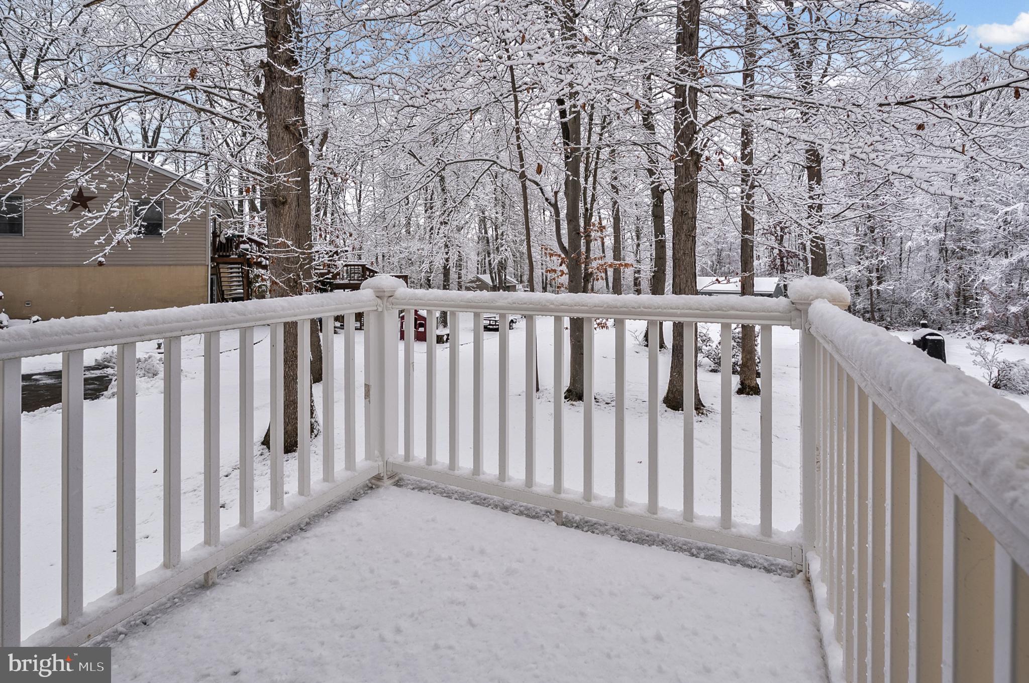 365 Nottingham Road Elkton, MD 21921 - Photo 22 of 50 Winter's embrace: a serene snowy retreat.