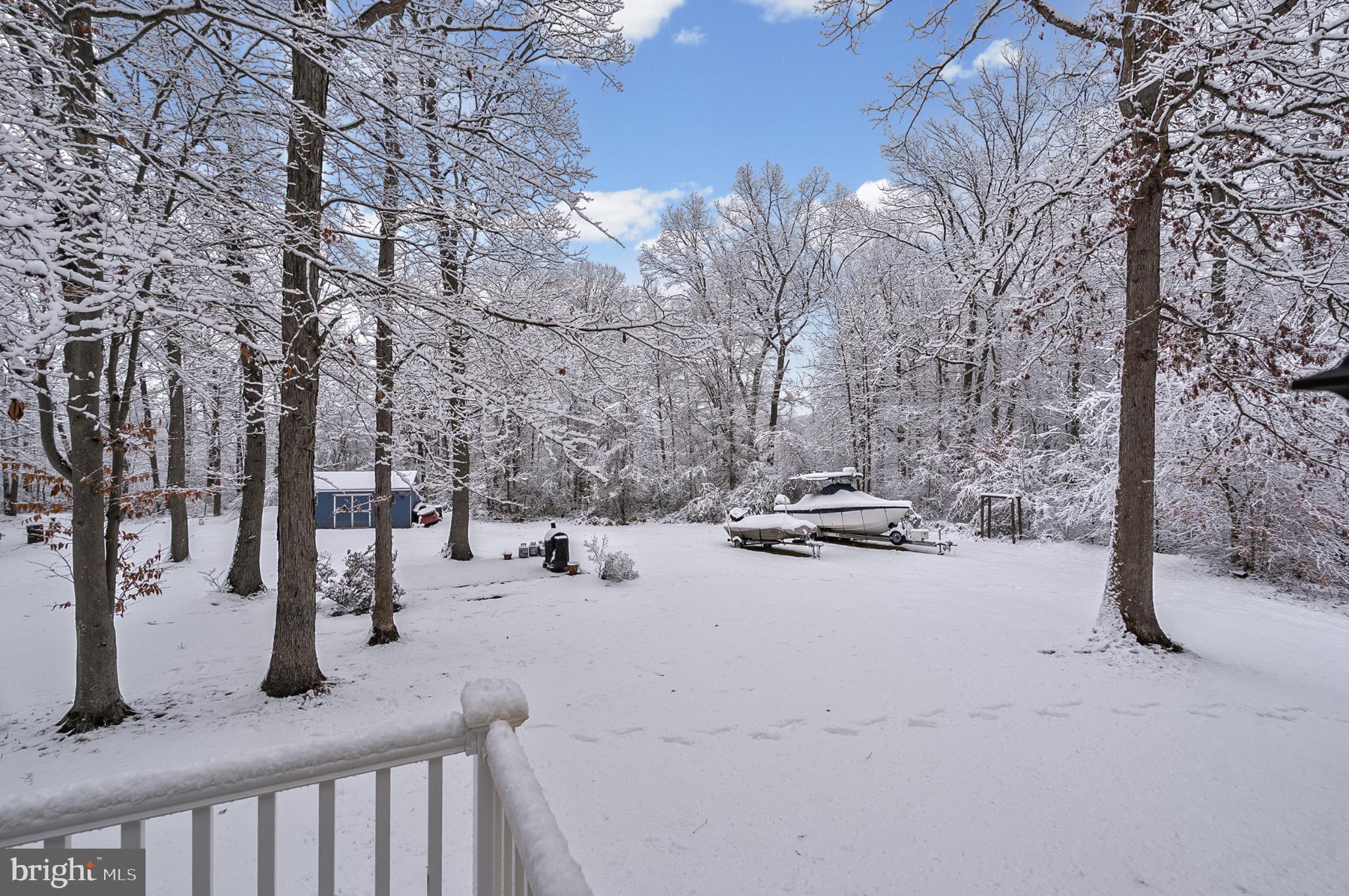 365 Nottingham Road Elkton, MD 21921 - Photo 23 of 50 Winter Wonderland: A serene snowy retreat.