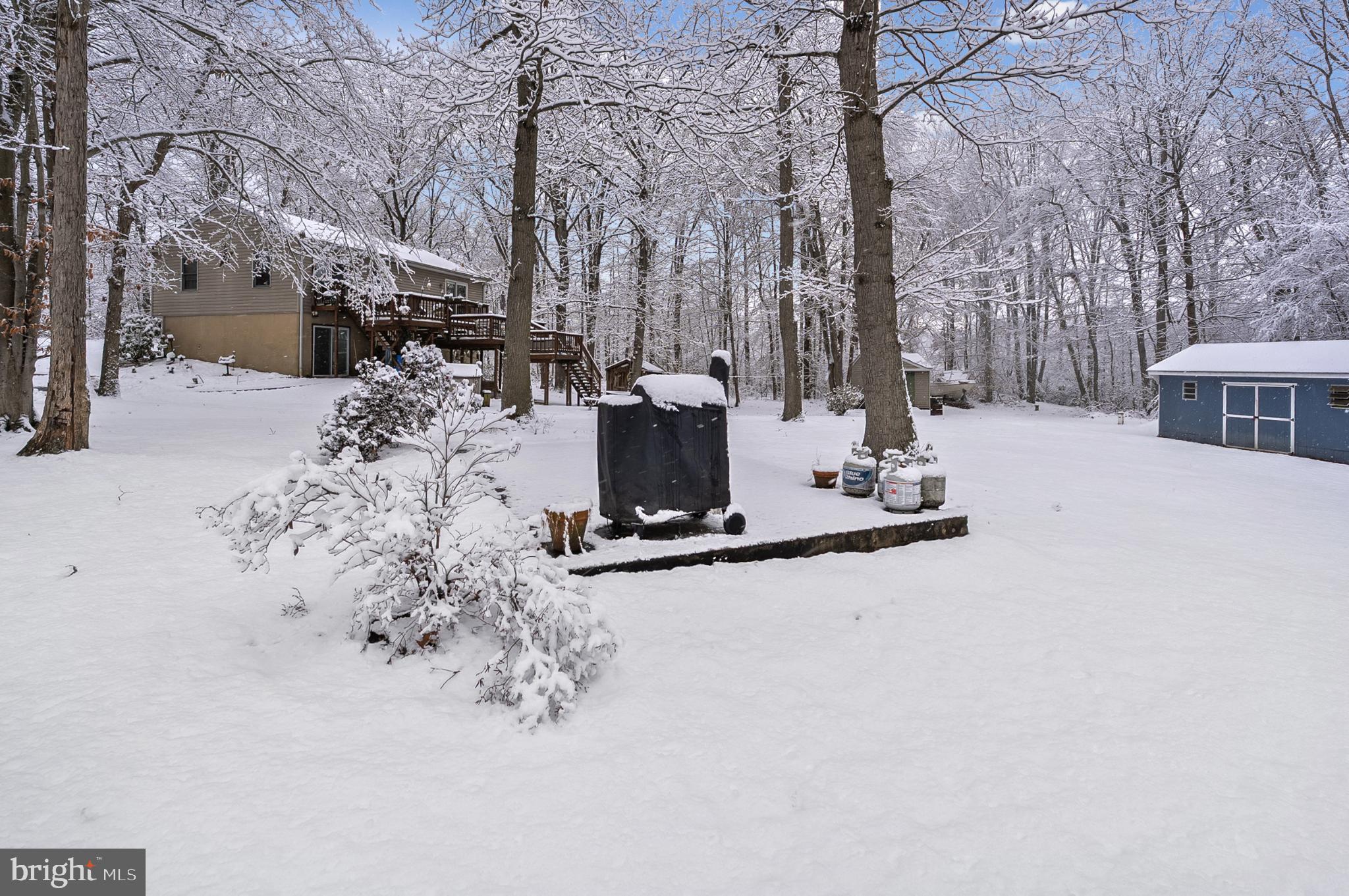 365 Nottingham Road Elkton, MD 21921 - Photo 7 of 50 Winter's embrace in a serene woodland retreat.