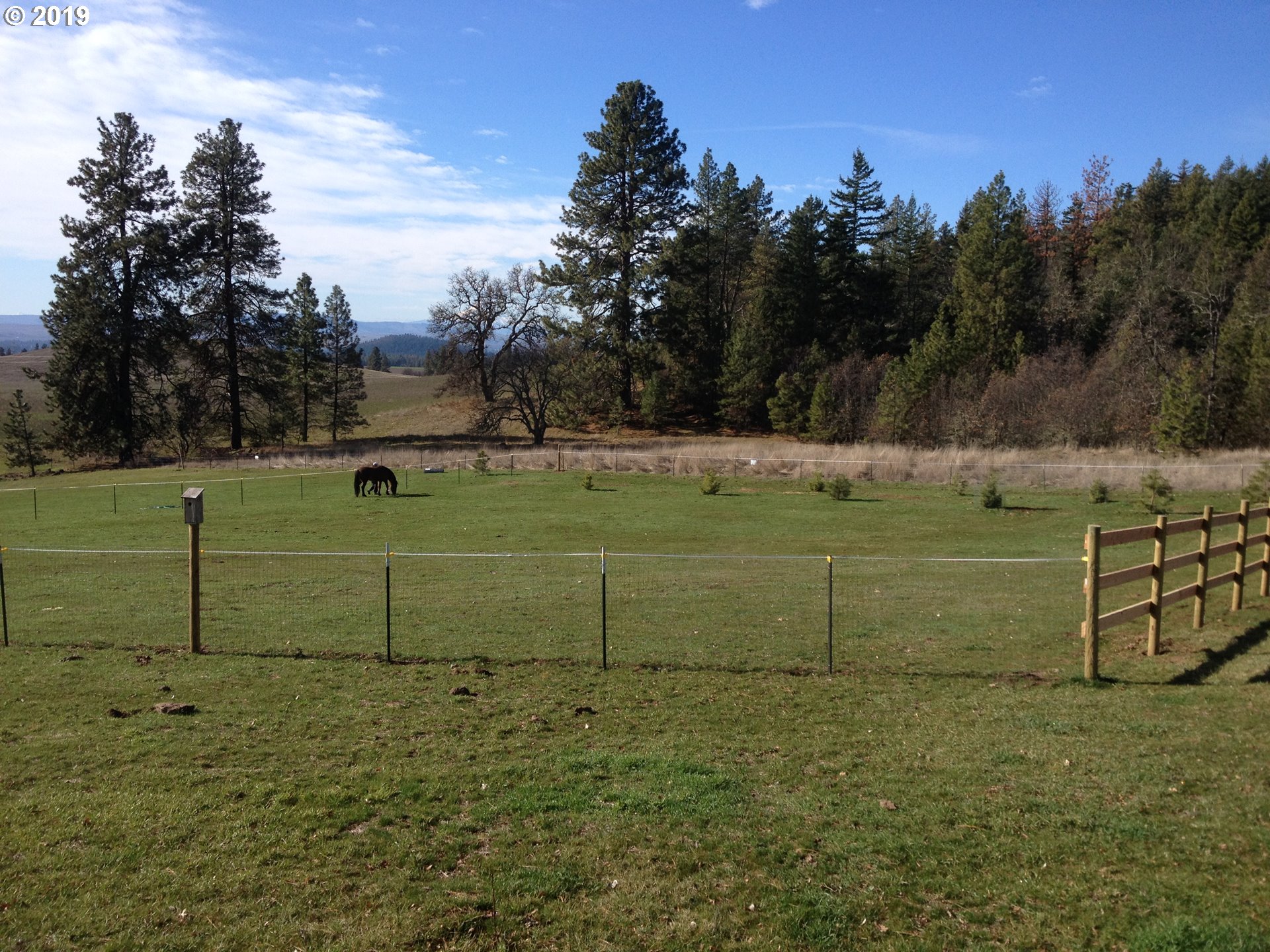 656 Pine Forest Road Goldendale, WA 98620 - Photo 14 of 26 Gallery Image 14
