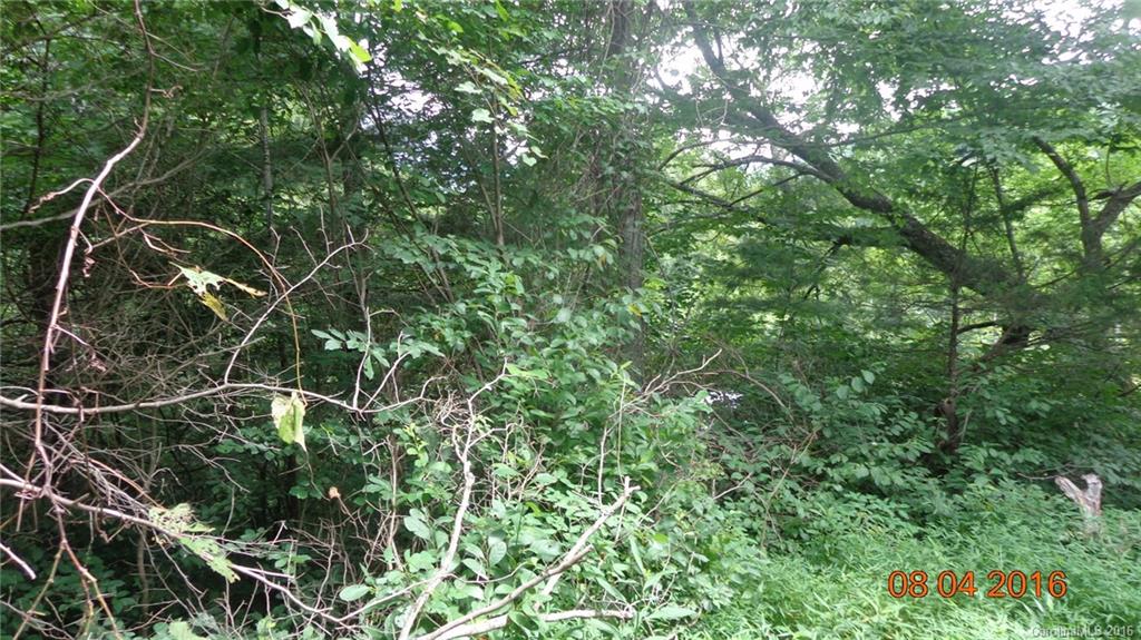 1748 Nicholson Cove Road Cullowhee, NC 28723 - Photo 2 of 3 Gallery Image 2