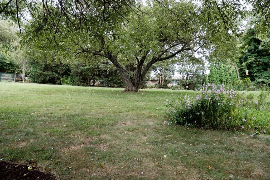 545 Center Church Road Canonsburg, PA 15317 - Photo 22 of 25 View of backyard