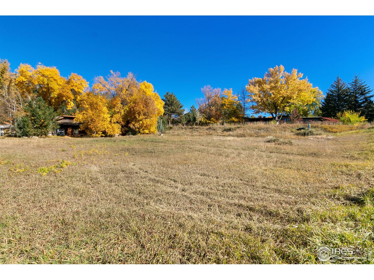 3500 Shore Road Fort Collins, CO 80524 - Photo 8 of 14 Gallery Image 8