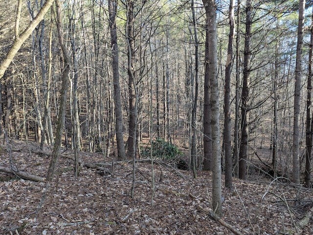 Tbd Indian Valley P O Road Indian Valley, VA 24105 - Photo 12 of 16 Gallery Image 12