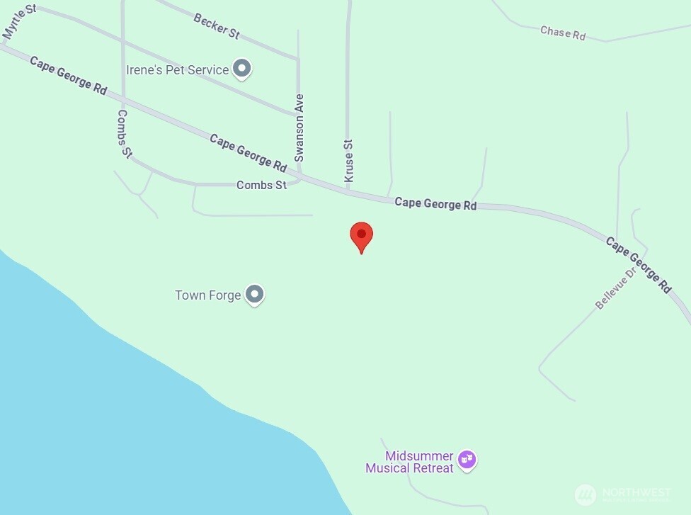 5612 Cape George Road Port Townsend, WA 98368 - Photo 16 of 17 a close up of a shower