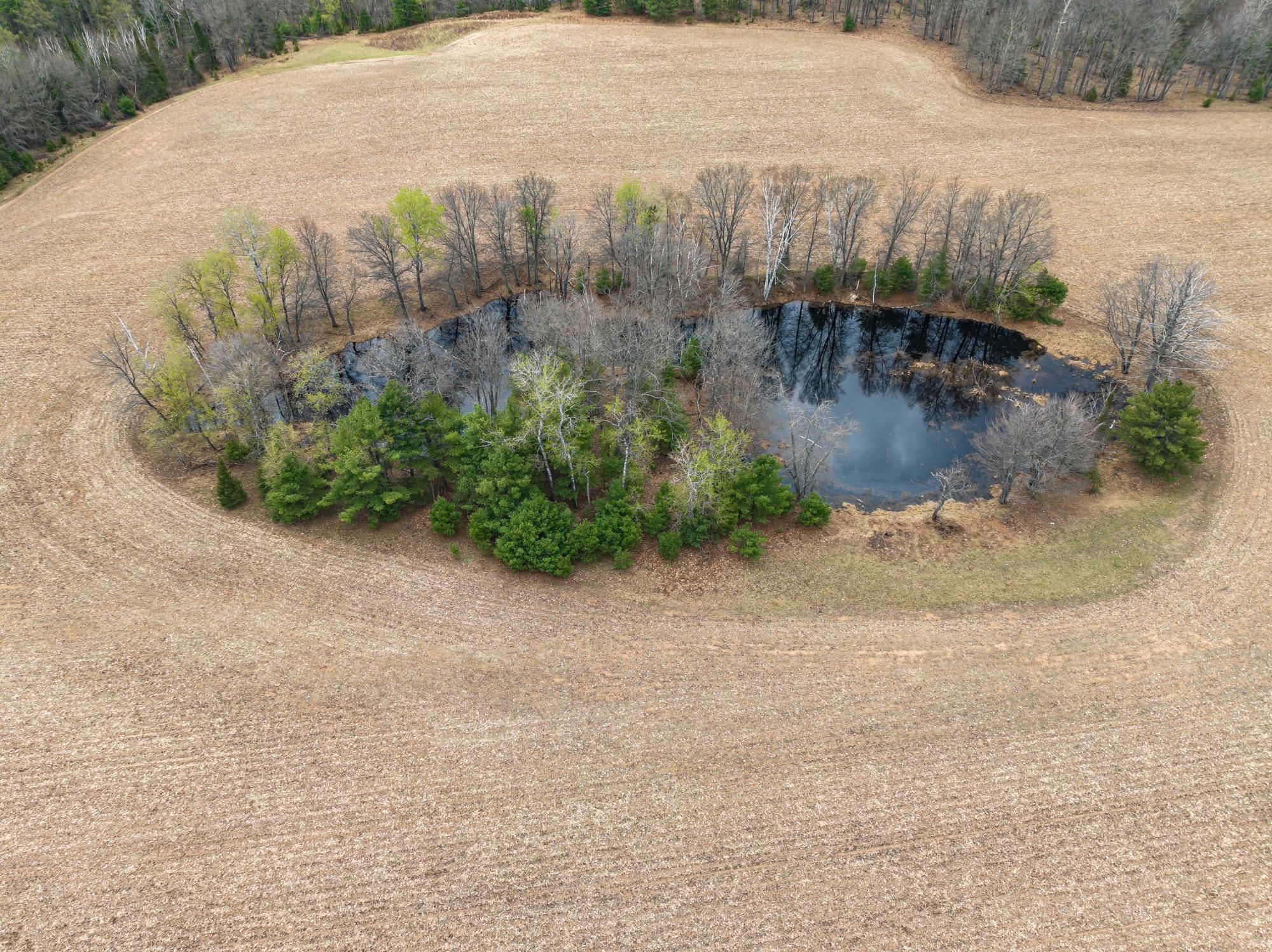Lot 9 Moens Lake Drive Rhinelander, WI 54501 - Photo 2 of 5 Gallery Image 2