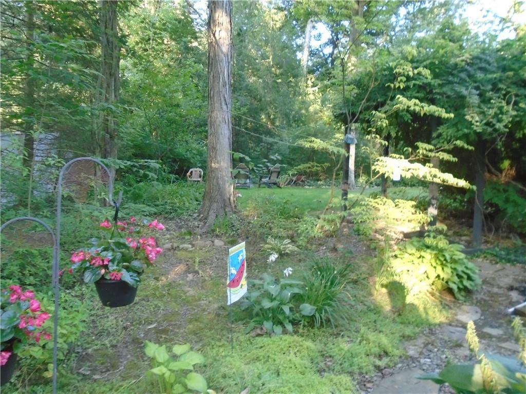 124 Heath Drive Baden, PA 15005 - Photo 33 of 38 a view of a flower in a garden