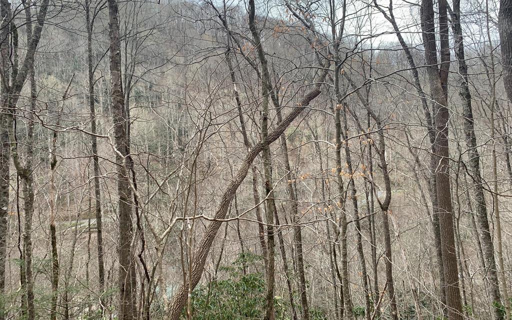 2-3 Mt Tabor Road Topton, NC 28781 - Photo 1 of 4 Main View