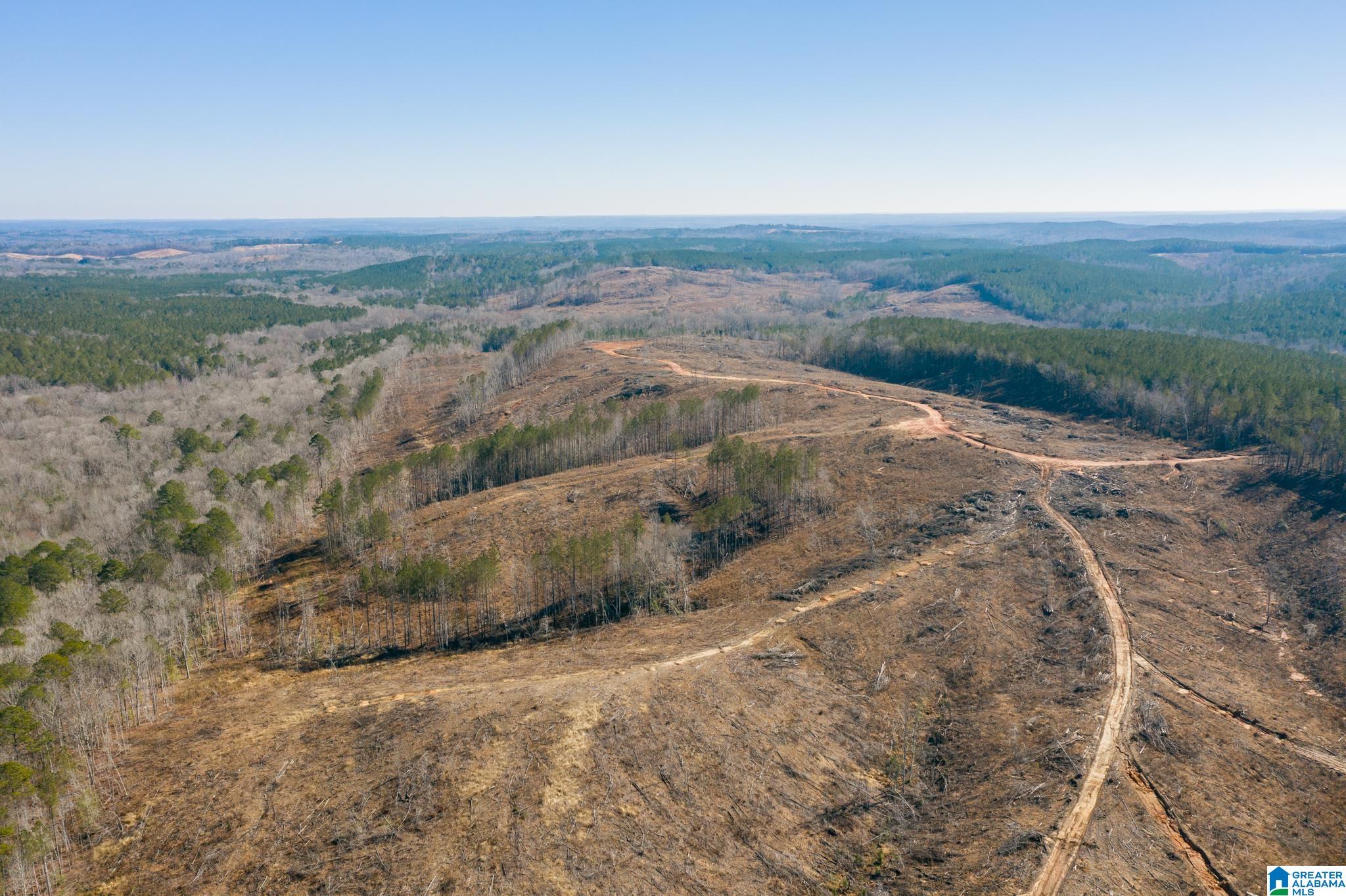 0 Harless Road Northport, AL 35475 - Photo 28 of 34