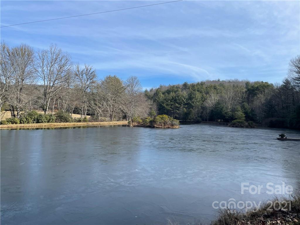 1602 Reasonover Road Cedar Mountain, NC 28718 - Photo 2 of 10 Gallery Image 2