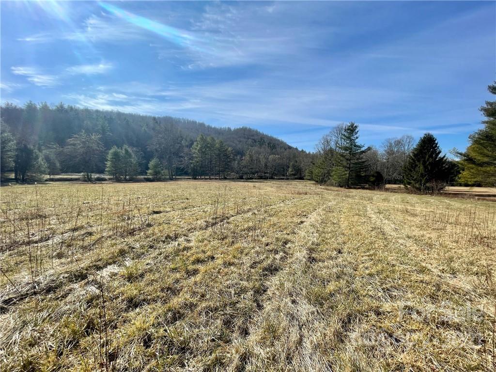 1602 Reasonover Road Cedar Mountain, NC 28718 - Photo 3 of 10 Gallery Image 3