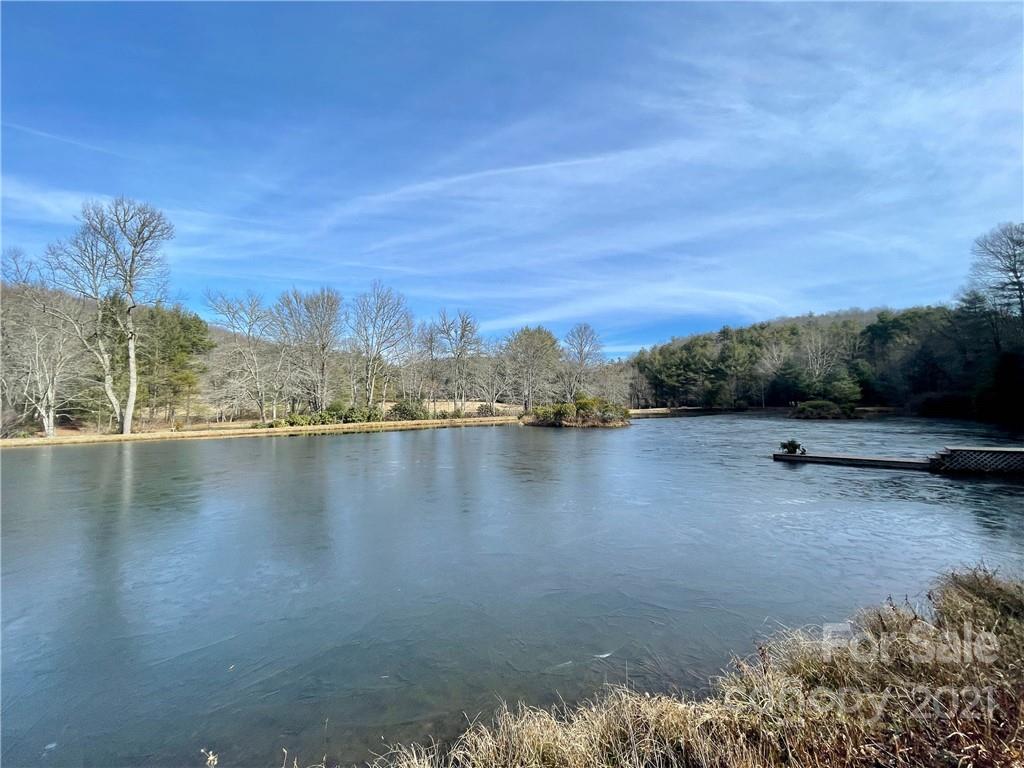 1602 Reasonover Road Cedar Mountain, NC 28718 - Photo 6 of 10 Gallery Image 6