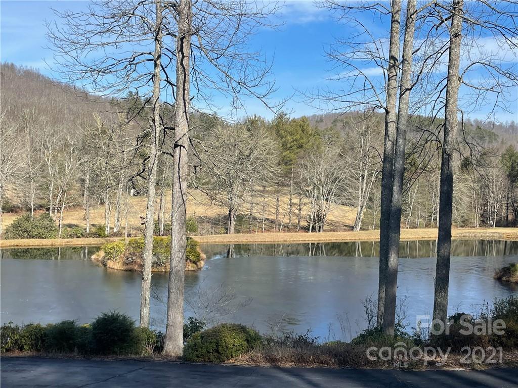 1602 Reasonover Road Cedar Mountain, NC 28718 - Photo 8 of 10 Gallery Image 8