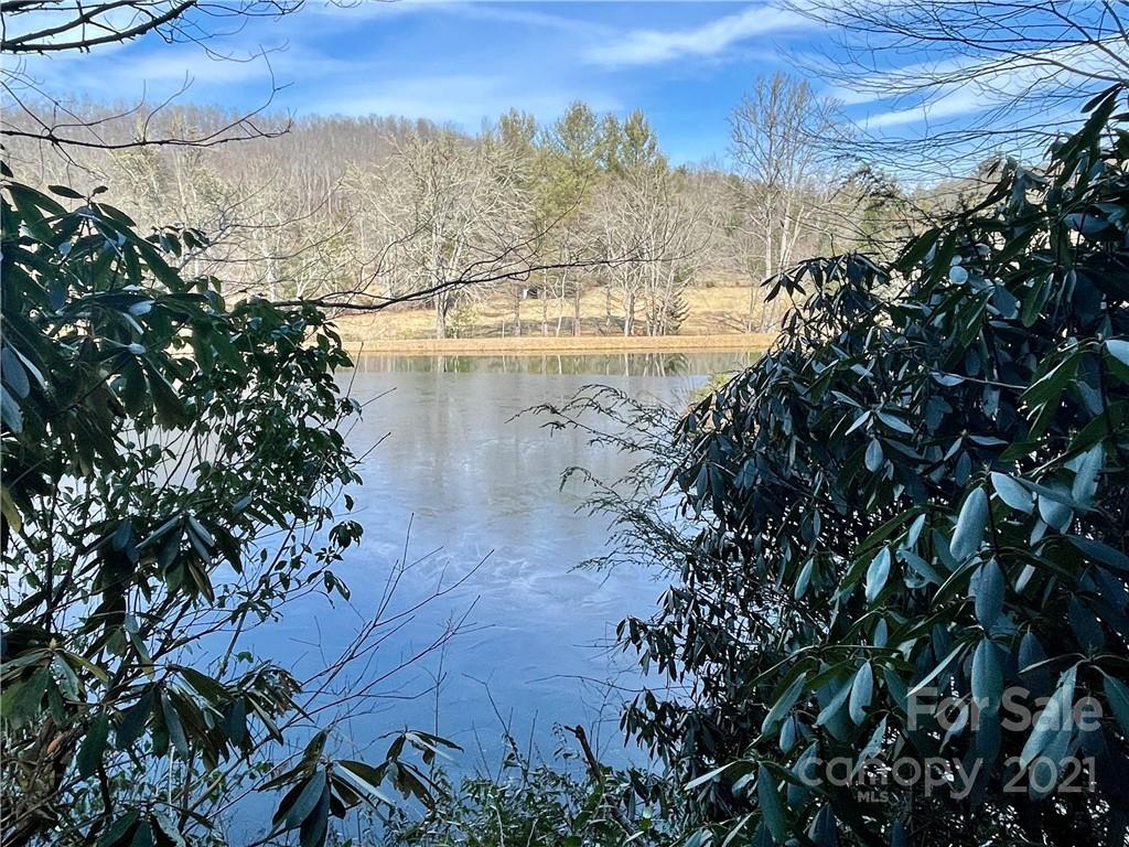 1602 Reasonover Road Cedar Mountain, NC 28718 - Photo 9 of 10 Gallery Image 9