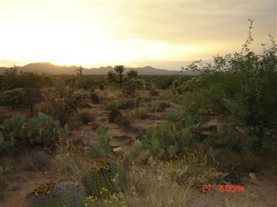 16515 North Oracle Road Tucson, AZ 85739 - Photo 9 of 9