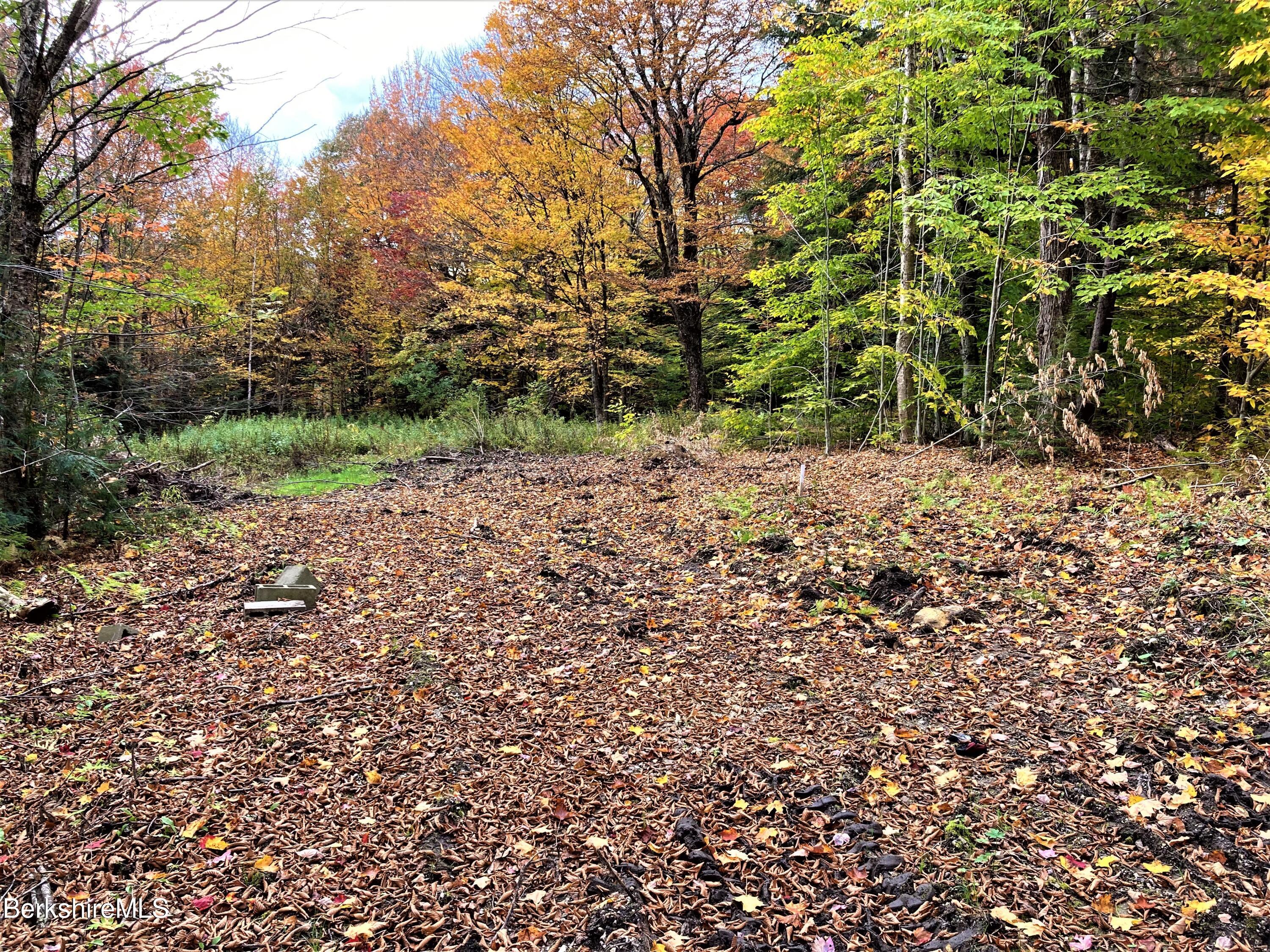 0 Phelps Road North Adams, MA 01247 - Photo 2 of 6 a view of a yard with a tree